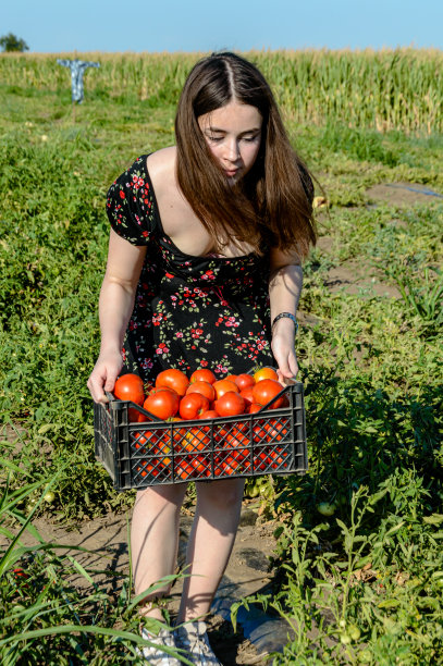 草地创意年轻女性和水果