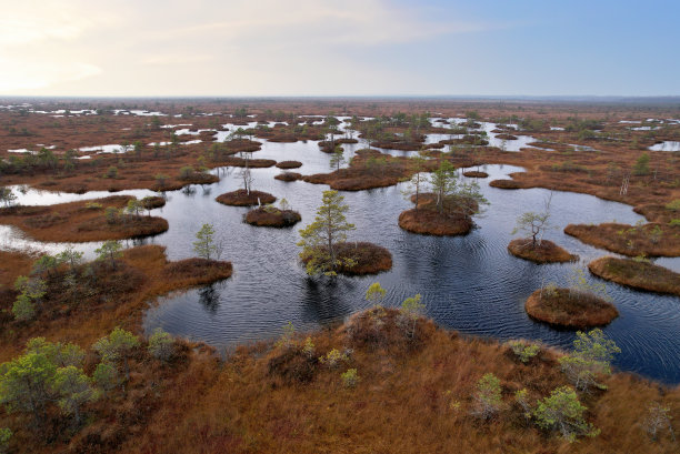 marsh