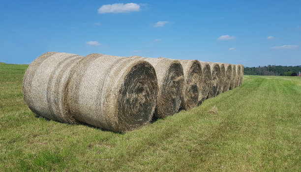 bale