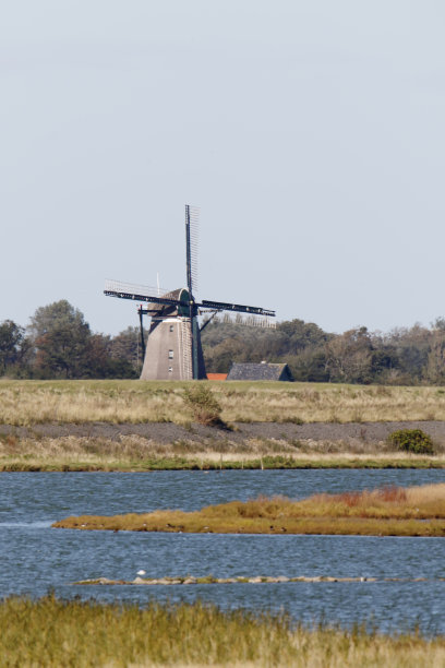_texel