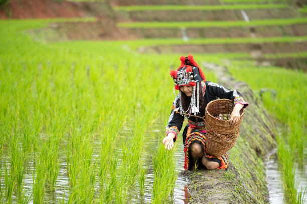 民族风服饰纹理
