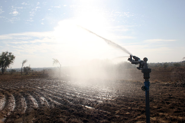 sprinkler