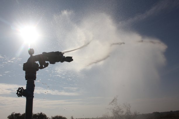 sprinkler