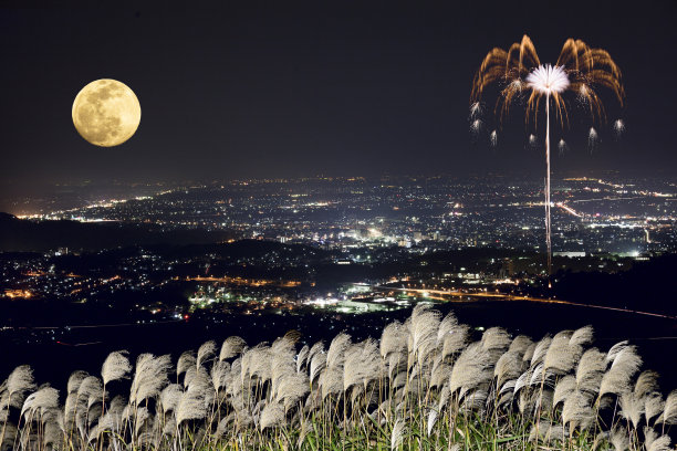 美丽的烟花绽放在夜空中