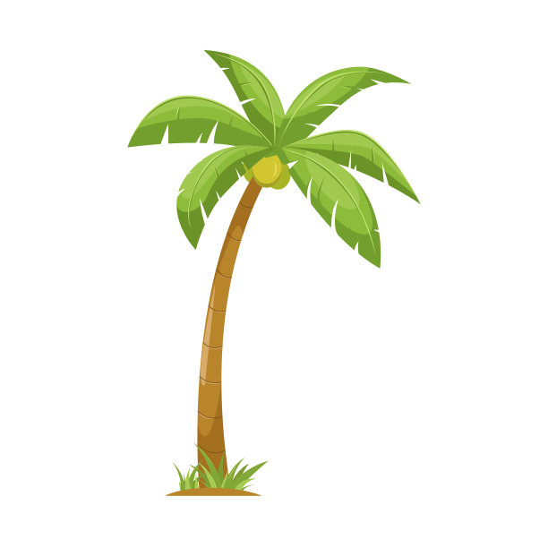 coconut