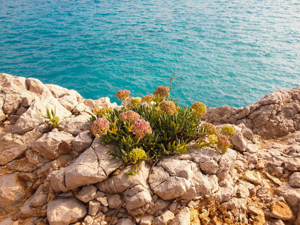coastline