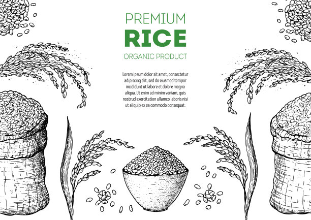 大米包装插画