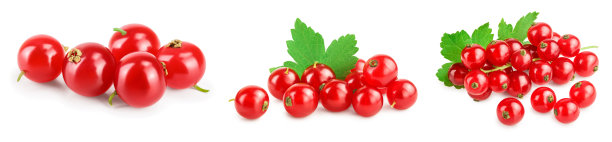 redcurrant