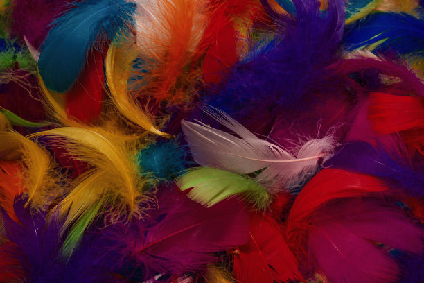 preen