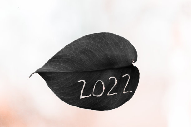2022花纹数字