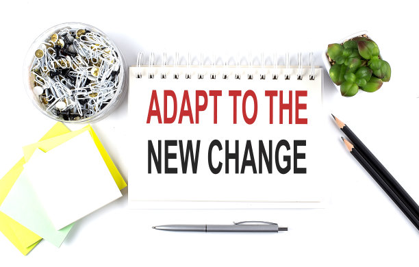 自我提高自我革新