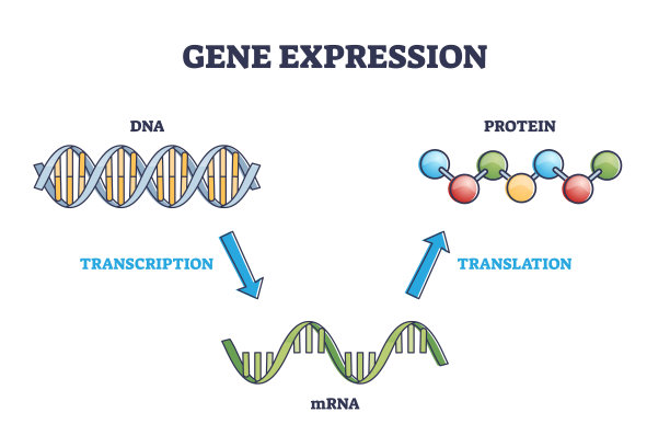 rna