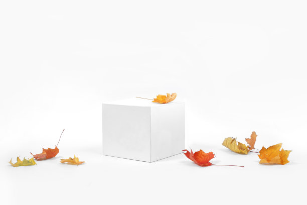 时尚简约产品包装设计