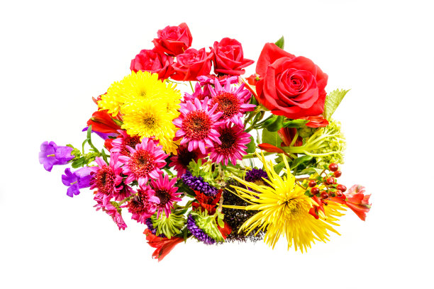 菊花,花簇,花