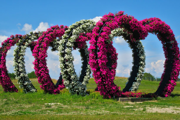 flowering