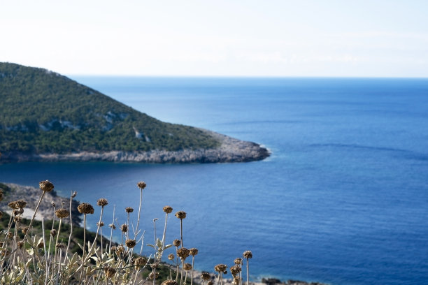 ionian