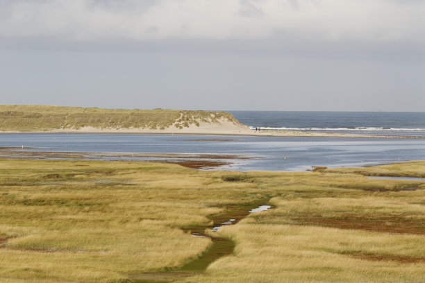 _texel