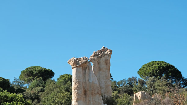 columns