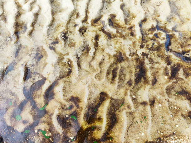backwater