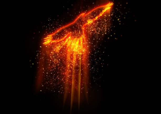 金红色凤凰插画