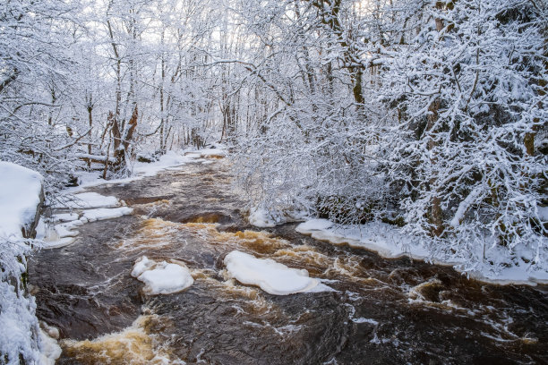 rapids