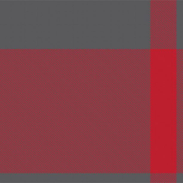 红底格纹服饰图案