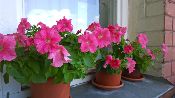 花窗玻璃花纹图案