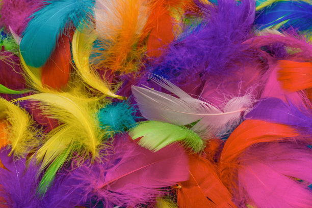 preen