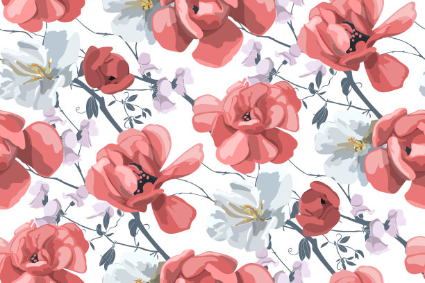 begonia