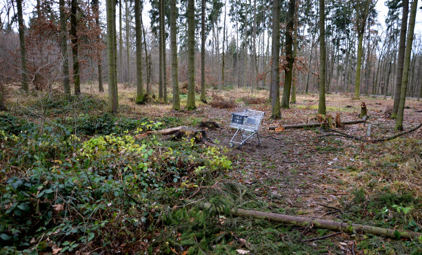clearing