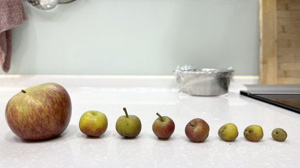core