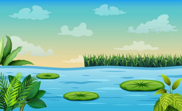 ponds