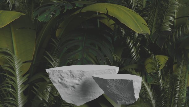 抽象热带植物叶子背景