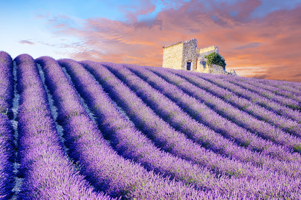 provence