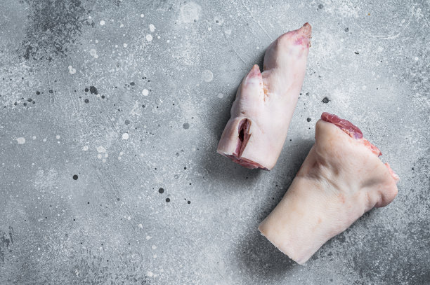 trotter