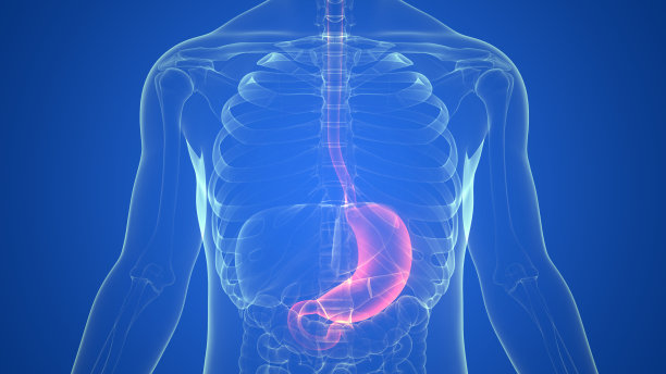 digestion