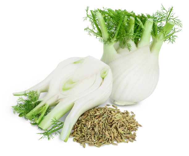 fennel