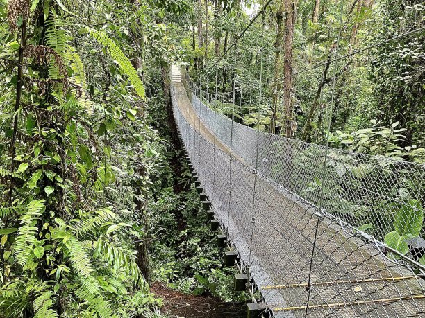 skywalk