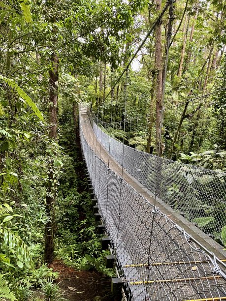 skywalk