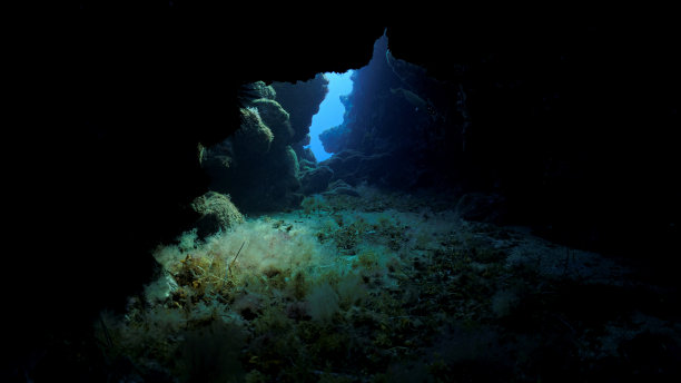 depth