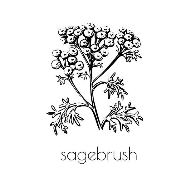 mugwort