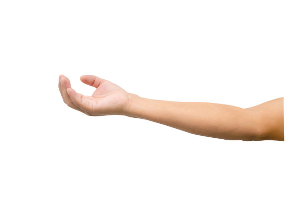 arms