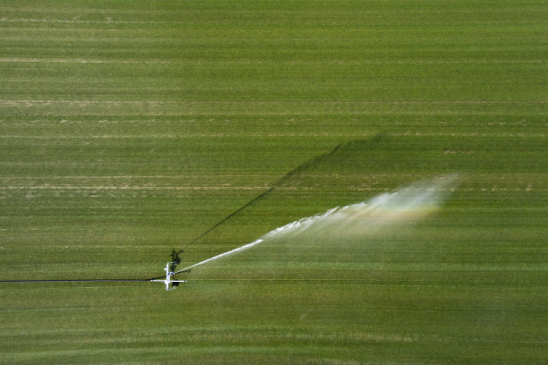 sprinkler