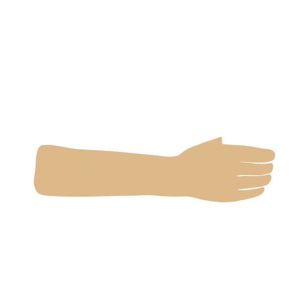 arms