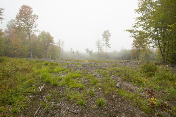 nh