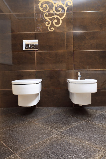 bidet