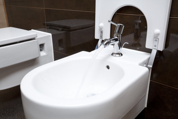 bidet