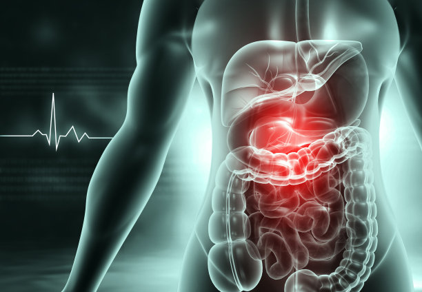digestion