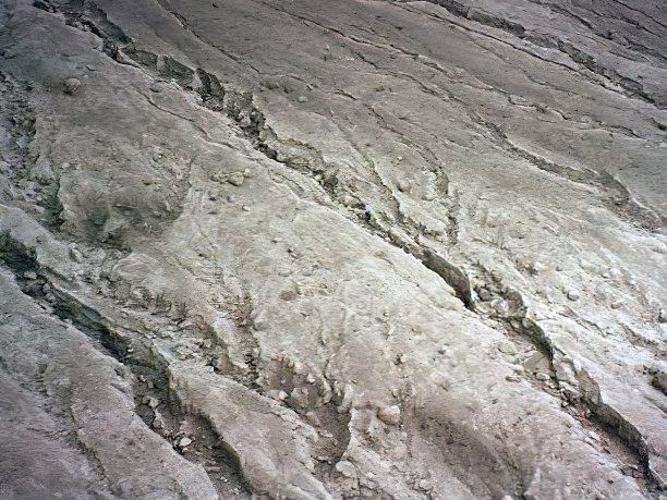 1995