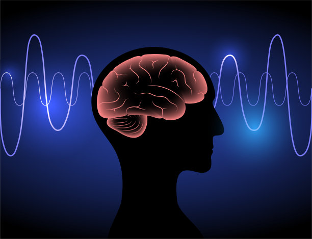 eeg